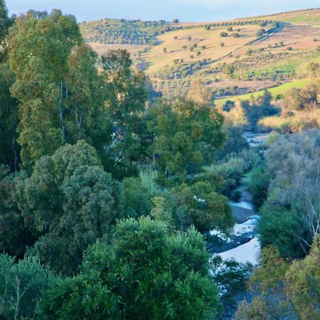דירות מאלגה The Dragonfly Retreat מראה חיצוני תמונה