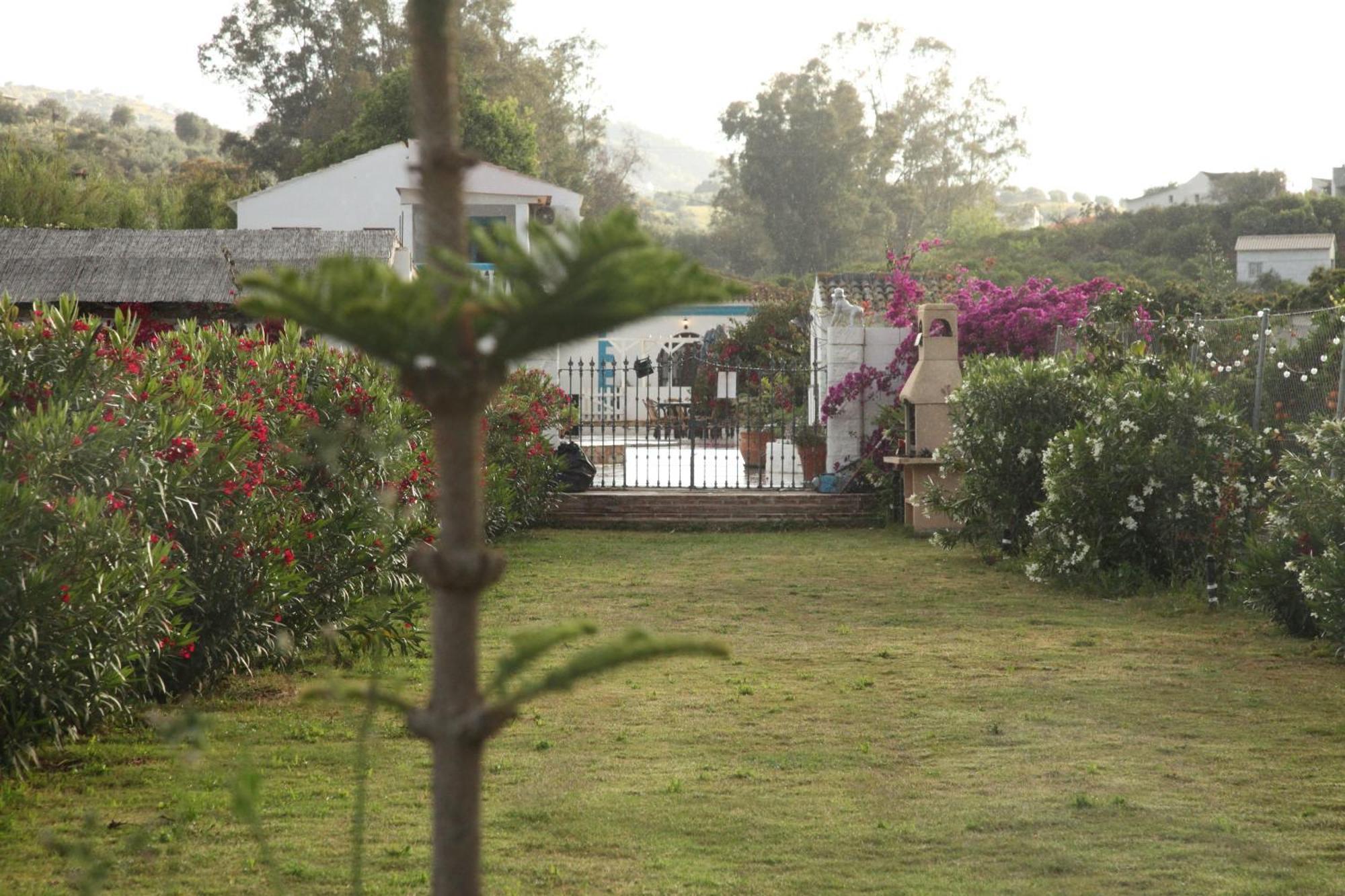דירות מאלגה The Dragonfly Retreat מראה חיצוני תמונה