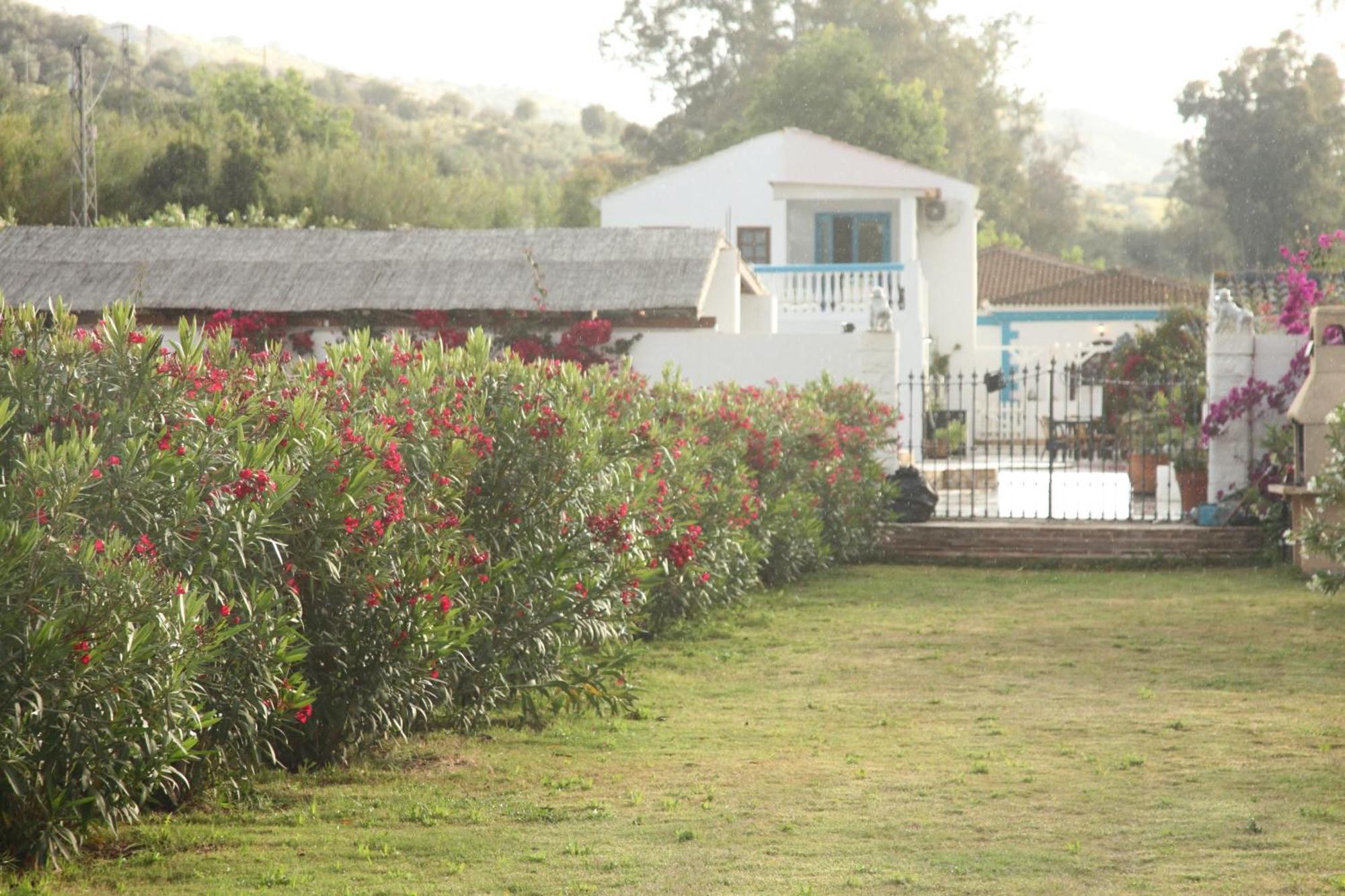 דירות מאלגה The Dragonfly Retreat מראה חיצוני תמונה