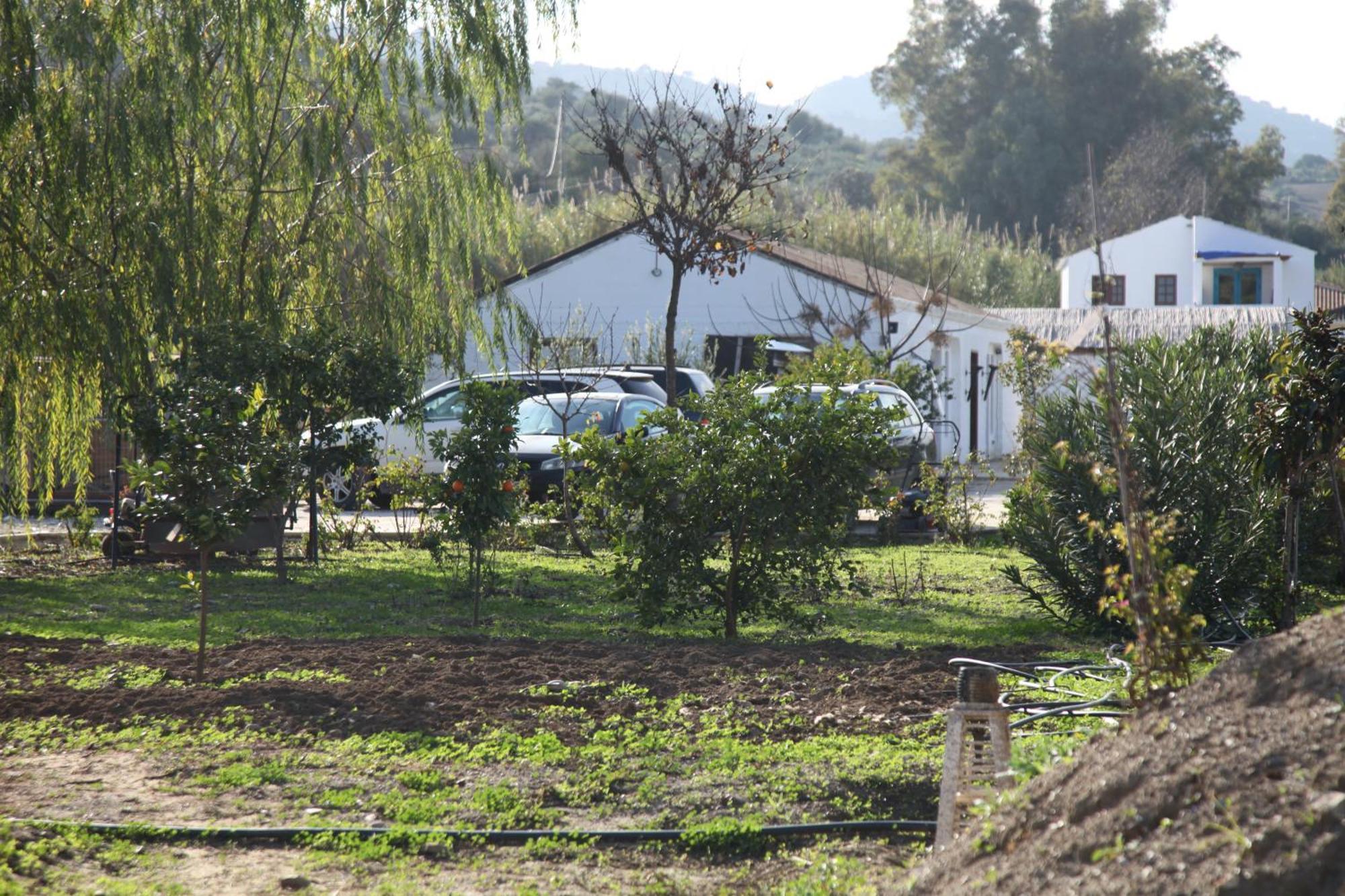 דירות מאלגה The Dragonfly Retreat מראה חיצוני תמונה