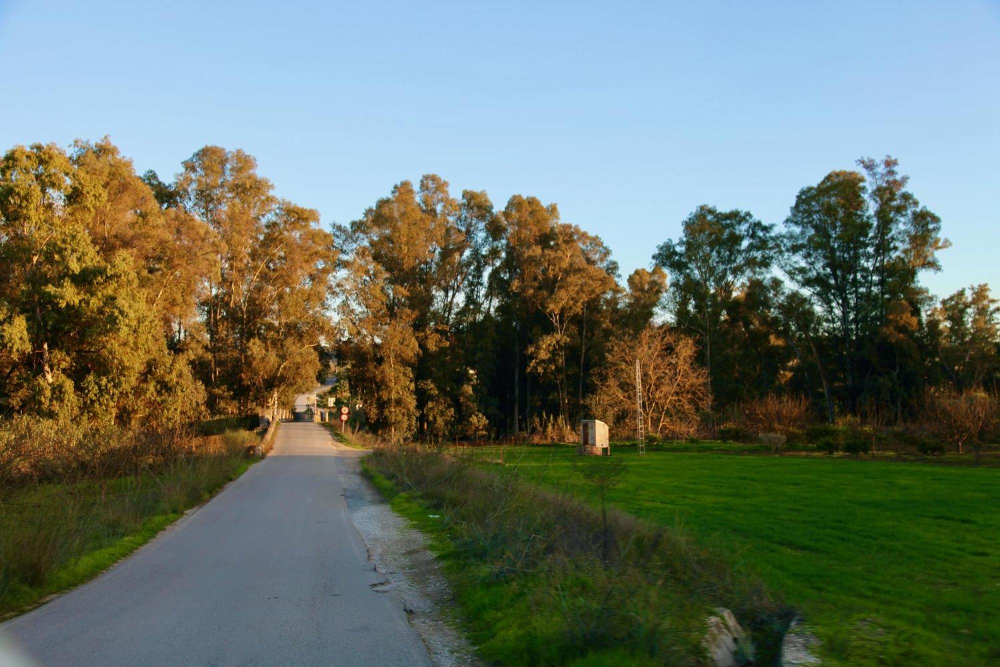 דירות מאלגה The Dragonfly Retreat מראה חיצוני תמונה